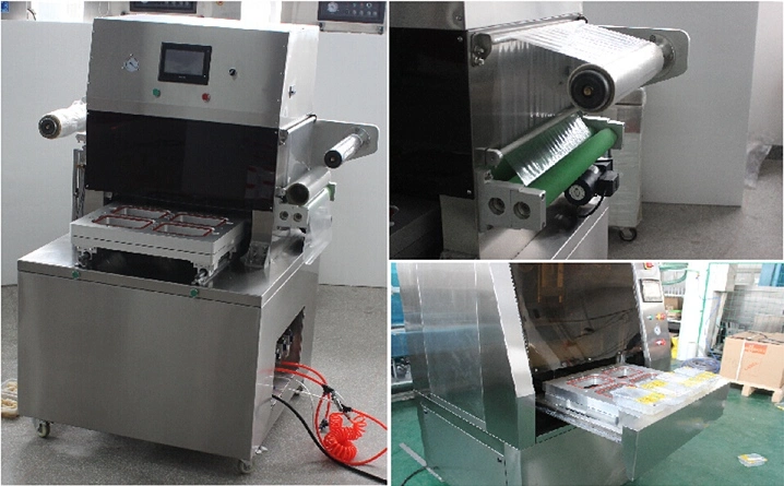 Fully Automatic MPa-450 Vacuum and Gas Flushing Map Tray Sealer
