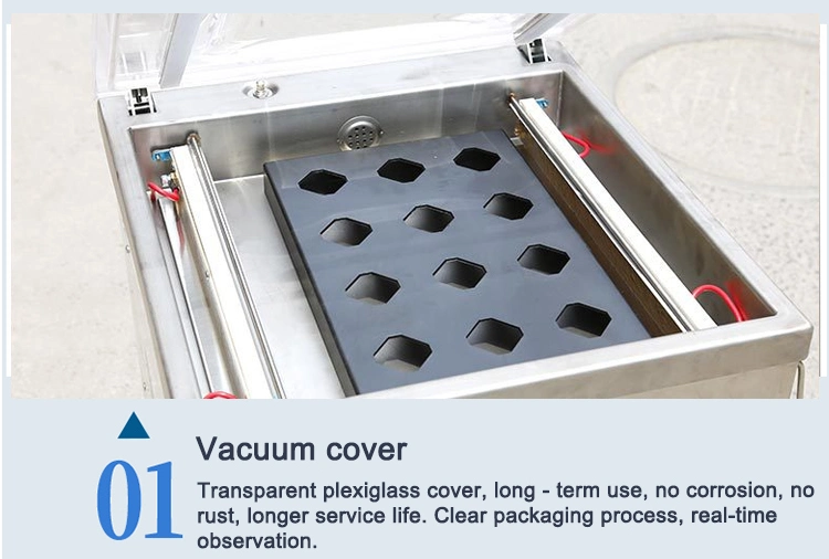 Vacuum Sealing Seafood Sealer Packaging Vacuum Wrapping Machine/Hongzhan Dz Vacum Machine