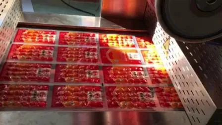 Automatic Thermoforming Vacuum Packing Machine/Continuous Stretch Film Vacuum Sealer for Small Bags
