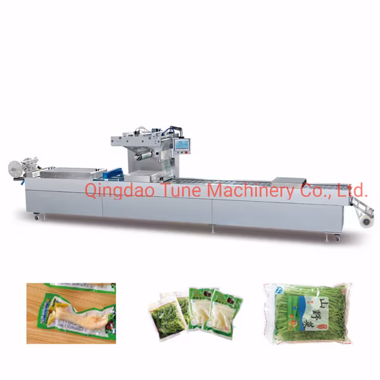 Automatic Thermoforming Vacuum Packing Machine/Continuous Stretch Film Vacuum Sealer for Small Bags