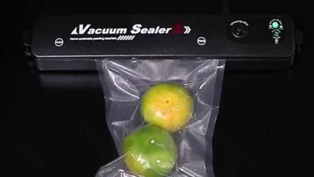 Unique Newest Patented Automatic Household Embossed Bags Vacuum Food Sealer